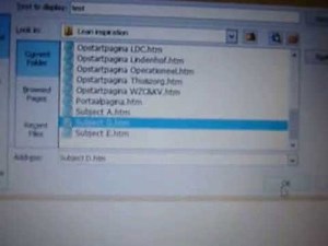 How to use excel to create your own webpage/portal page