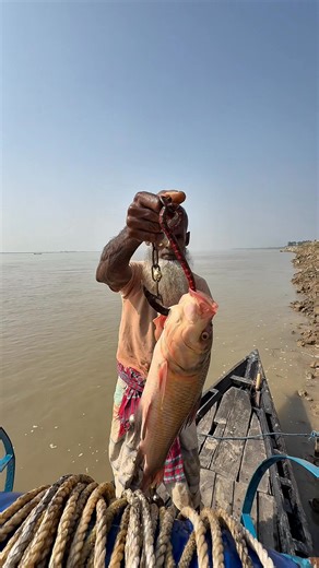 227K views · 542 reactions | Best amazing fishing method with bait from boat #bait | Daily River Vlog | Facebook