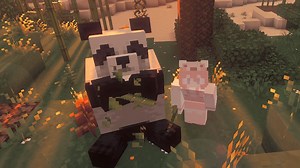 想带熊猫回家~可是它走路好慢还边走边吃〒▽〒