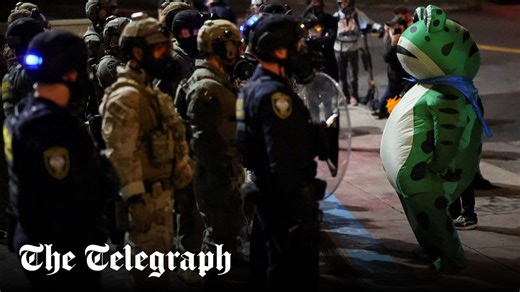 Unmasked: Inflatable frog tormenting ICE is non-binary ‘Antifa terrorist’