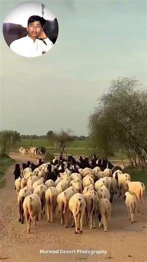 desi Marwadi log 🥰🥰📍👇↘️