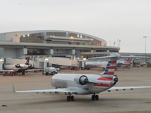 How Does the Average Passenger Even Make it to Their Destination (At Least Without Strangling Someone)? - View from the Wing