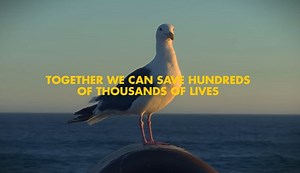 This is how we can Enjoy a Cold Beer & Save the Ocean at the Same Time | elephant journal