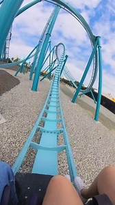 This feeling >>> 😍😱🙌🥰 Would you ride? 🎢 Emperor 🎠 SeaWorld San Diego #Emperor #coaster #rollercoaster #seaworld #sandiego #california #themepark #amusementpark | Diary of a RollerCoaster Girl