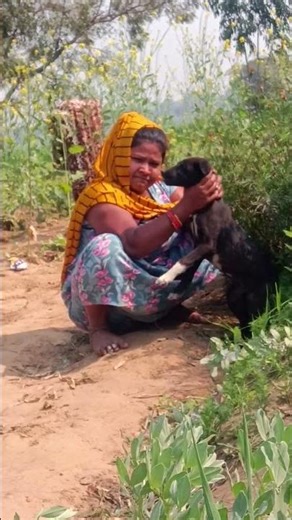 # viral #tutorial #sad #puppy #crime