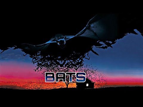 New Hollywood Bats Full Horror Movie In Hindi Dubbed 2019
