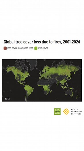 🔥Confirmed. Forest fires are becoming more widespread and destructive around the globe. World Resources Institute and Global Forest Watch calculated that forest fires now burn more than 2X as much tree cover each year as they did two decades ago. Learn more: https://go.wri.org/forest-fire-trends-fb | World Resources Institute