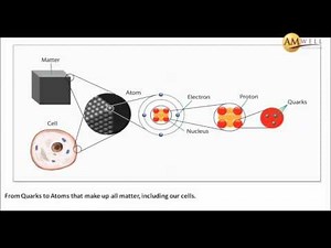 Dr Mark Metus on Quantum Alignment Technique