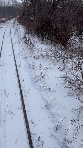 131 reactions · 6 comments | Keeping the railroad open in the winter means having to run plow train as needed to keep the railroad open. Here is an Eastbound Extra returning to the train shed on a snowy afternoon 2-17-24 | Richfield Springs Scenic Railway | Facebook