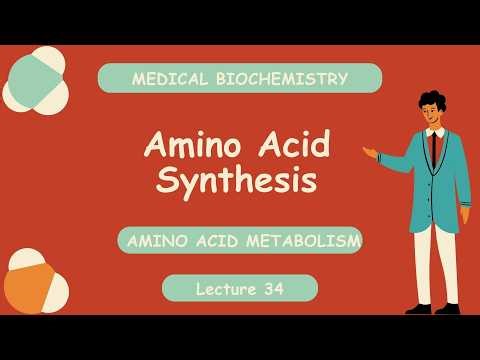 Lecture 34 | Amino Acid Synthesis