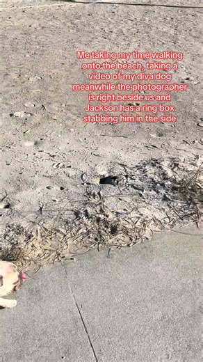 POV 3 minutes before he proposed