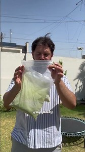 شلون نبتة الستيفيا الخضرة ☘️ تحولت لمسحوق أبيض؟وعدنا سؤال مهم باخير الفديو 🌝#ستيفيا #صحة_365