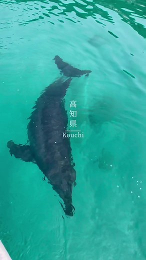 日本の夏旅：熊本から宮古島までの絶景巡り