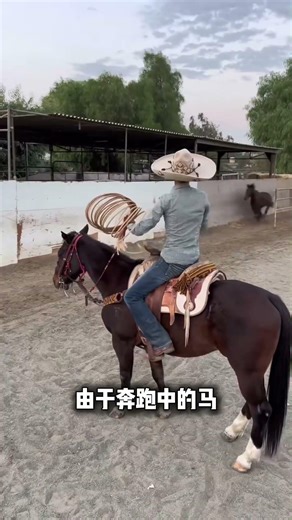 The Secret Behind Why Cowboys Light Up During Horse Taming