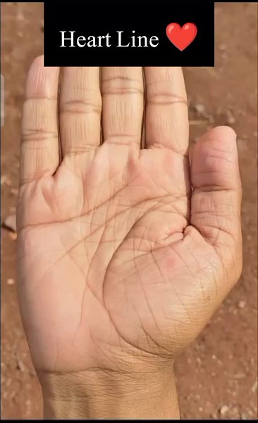 Palmistry Institute on TikTok