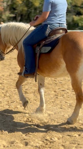 #turntablesridingschool #desotocounty #ridinglessons #barrelracing #MS #horses #lessons | Turntables Riding School | Facebook