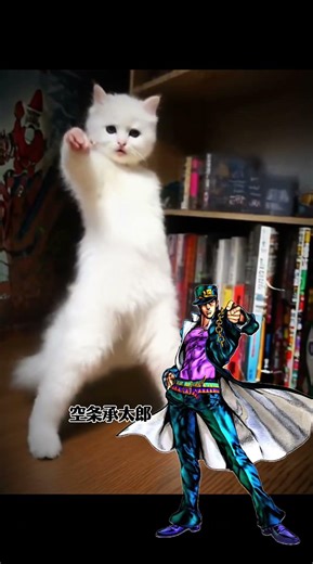 🐱💃 #cat #funny #ai #memes #jojo