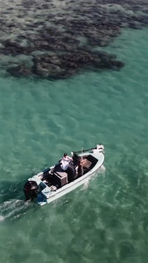 Have you seen Reef Addicts' NEW Boat build yet? Watch the full video on our YouTube channel! Link below: https://youtu.be/UeyEmi7HBSA?si=1F-WsGocuyeB6GJy For more amazing content visit or follow us on our socials: LinkTree: https://linktr.ee/bla_lifestyle BLA Instagram: @blalifestyle . . . #fishing #fishingaustralia #boatingaustralia #boating #fishlife #fishinglifestyle #boatinglife #boatinglifestyle #boatshow #BLA #blalifestyle | BLA lifestyle