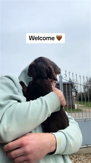 Welcome mon bébé 🤎 #cocker #cockerspaniel #cockerspanielsoftiktok #cockerspanielpuppy #workingcockerspaniel #workingcocker #workingcockerspanielpuppy #adoption #dogsoftiktok #chien #chiot