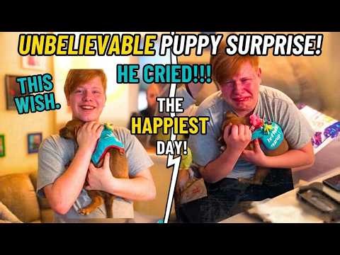 Puppy Surprise Compilation That Will Melt Your Heart #puppy #compilation #surprise #emotional