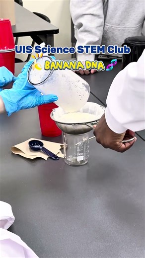 UIS Science STEM Club | Extracting banana DNA 🍌🧬