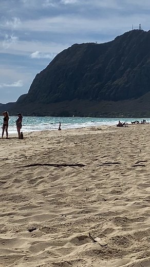 Michael Stern | Skincare Law (@michaelstern97)’s videos with original sound - Michael Stern | Skincare Law