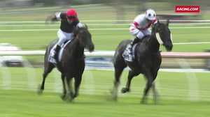 7.9K views · 376 reactions | "It's a prerequisite that in fact they walk the entire track if they've never ridden in a race there." Great insight from apprentice jockey coach, Alf Matthews, & the raceday experience for his chargers  | Racing.com | Facebook