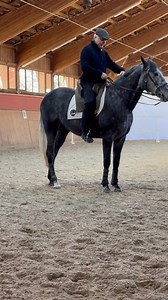 FEIRA 2025: 9.-13. Juli 10 Jahre Oliveira Stables Manuel Jorge de Oliveira wird den Azteken OLIMPICO vorstellen: Lusitano, Quarter und Vollblut in sich vereint… Ihre Tickets erwerben Sie hier: https://www.wu-wei-shop.de/FEIRA-2025-OS-Jubilaeum-Besucher-Ticket/FEIRA-25.7 | Oliveira Stables
