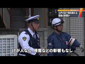 強風の影響か 東京・江戸川区で電柱倒れる