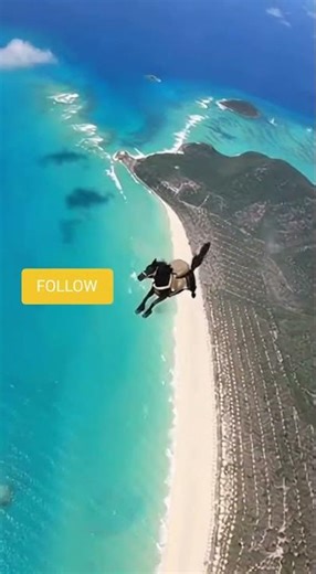 Awesome the unstoppable Stallion is going to the next level.