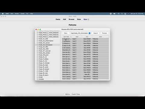How to Study Anki by System for USMLE Step 1