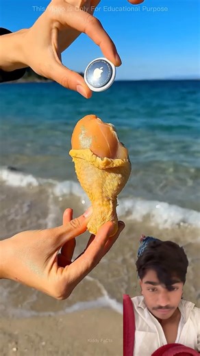 Samundar Mai GPS Dal Diya 😱 #youtubeshorts #amanzingfacts #shorts