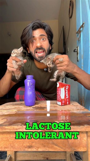 Goat Milk Safe Milk 🐐 #foryou #viral #kitten #petcare | kittens