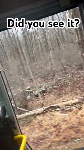 *REAL* New footage of real gnome caught on camera!!! #creature #gnome #sighting