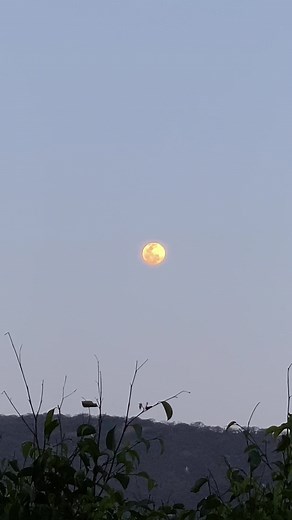 Stunning Evening Moonshots Against Dusky Sky