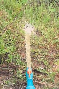 16K views · 215 reactions | Wow I turn PVC pipe into a water drum pump at rice field! free no need electricity power #reels #creative #design #pump | Creative Pump | Facebook