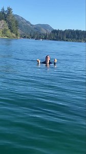 493 reactions · 24 shares | I used to think fish oil was the best for omega-3s, but Paleovalley’s Fish Roe changed my mind. BOGO sale—go check it out! | Paleovalley | Facebook