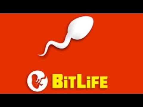 BitLife Simulator Is On live 😧
