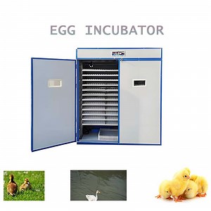 [Hot Item] Fully Automatic Egg Hatching Machine for Birds, Ducks and Geese Machine