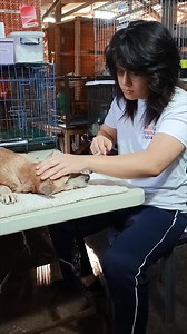 Clipper eats only very little on his own. We fed him blended food. | Happy Animals Club