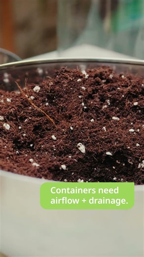 Best Soil for Containers and Pots 🪴
