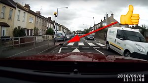 Safety conscious cat perfectly demonstrates the correct use of a zebra crossing