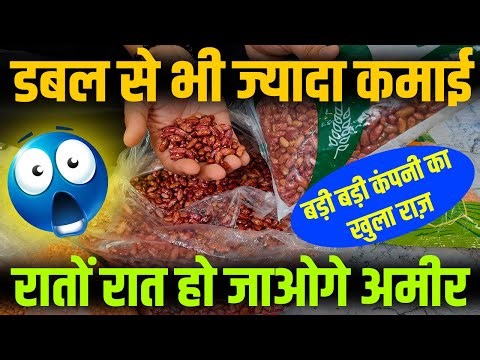 📣हर घर में रोज़ाना खाया जाता है । अंदर की बात सिर्फ़ हम बताते हैं । Low Cost Business Ideas | 📣