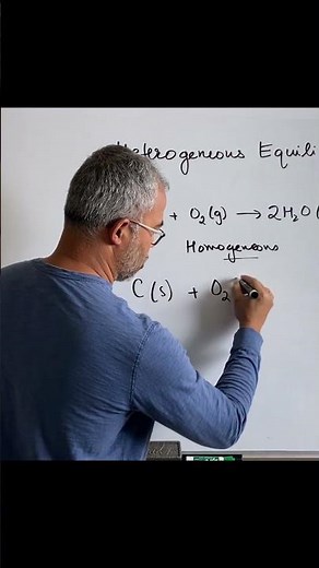 Homogeneous vs Heterogenous Equilibria