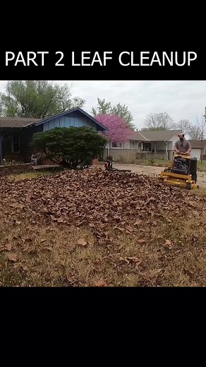 LEAF REMOVAL CLEANUP PART 2 #leafcleanup #oddlysatisfying