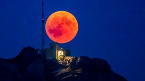 Astronomy Ireland tell people to take day off for best Blood Moon in 14 years