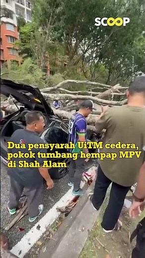 Dua pensyarah UiTM cedera, pokok tumbang hempap MPV di Shah Alam
