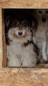 22K views · 708 reactions | Very pretty girl, small to medium, but so...