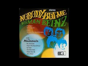 The Human Beinz - Nobody But Me - 1967 (STEREO in)