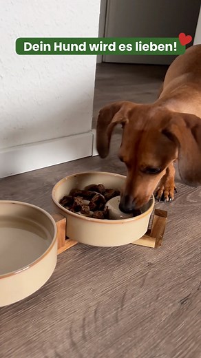 3.5K views · 22 reactions | Entdecke jetzt unser neues FRESCO unico...